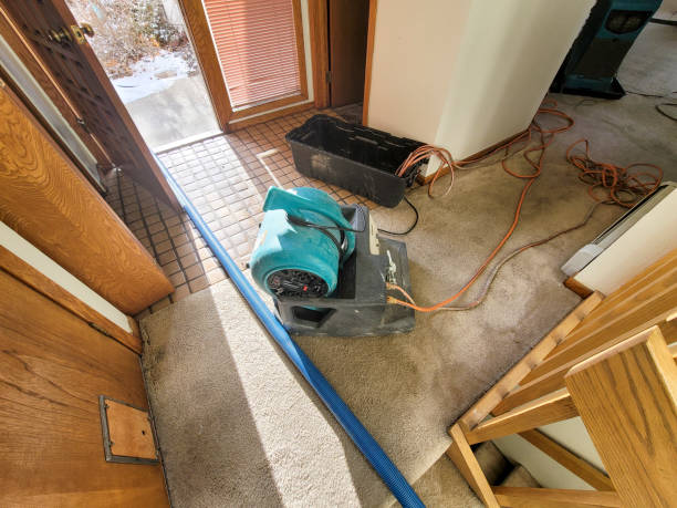 Best Ceiling water damage repair  in Wilburton, OK