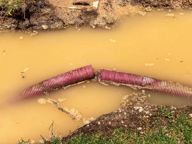 Best Flood restoration services  in Wilburton, OK